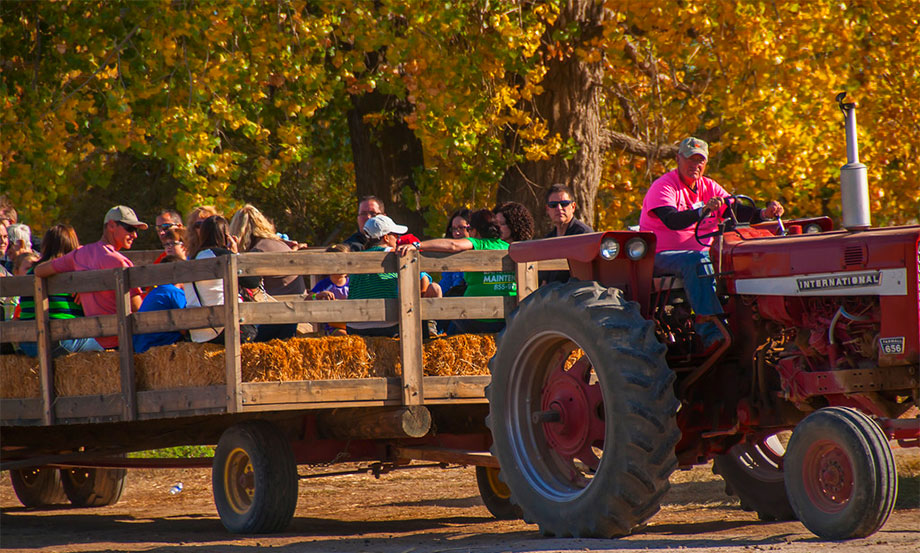Farmstead tractor and hay ride. Farmstead near Boise has one of the top 10 corn mazes in the U.S.
