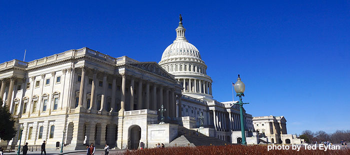U.S. Congress government building. Learn how an IT firm got ready for DCAA compliance.